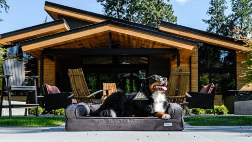 Illusztráció: Impact Dog Crates