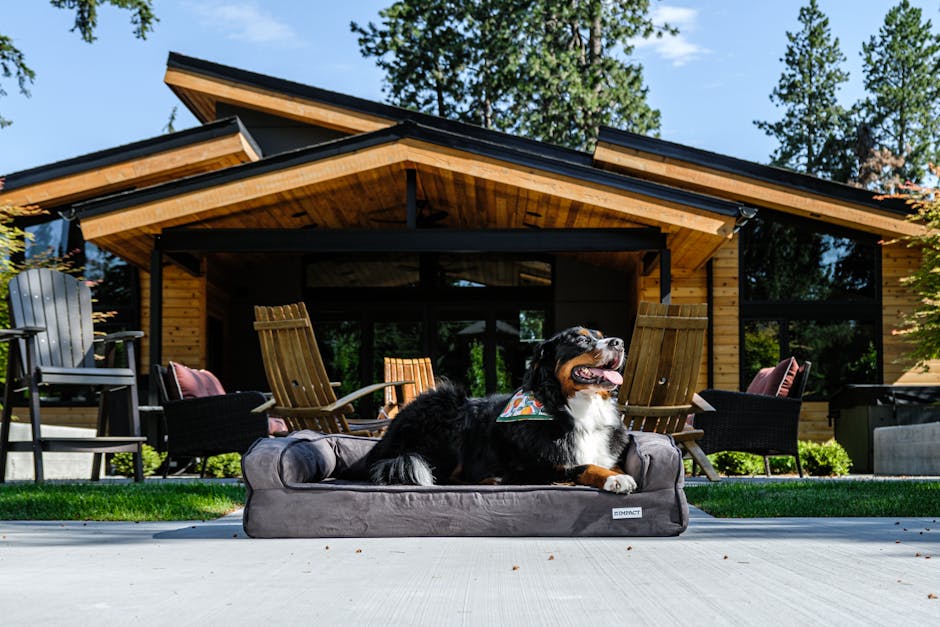 Amikor a kutyád ágya drágább, mint a tiéd