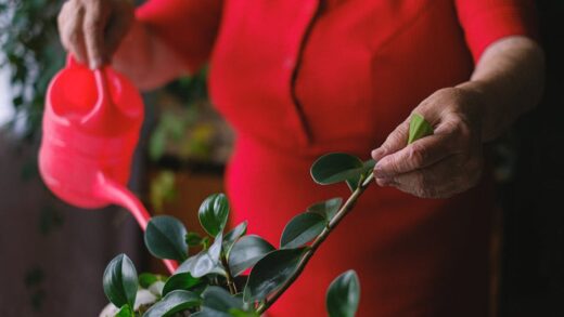 Illusztráció: Anna Shvets