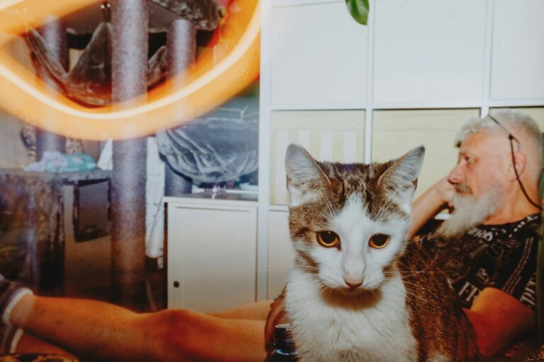 Így lesz igazán otthonos a lakásunk méregdrága bútorok nélkül is