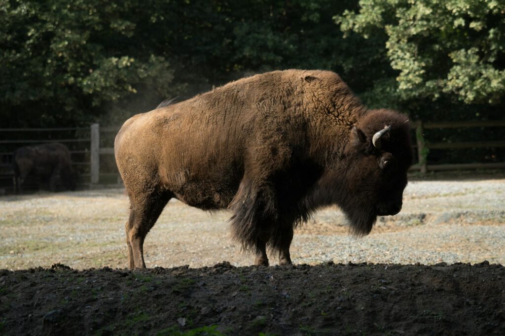 Miért érdemes autóba ülni és felfedezni a közeli dél-morvaországi borvidéket