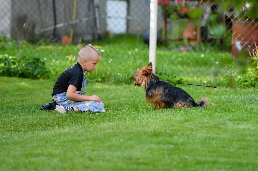 Miért beszélünk szinte mindannyian a háziállatainkhoz vagy akár a szobanövényeinkhez?