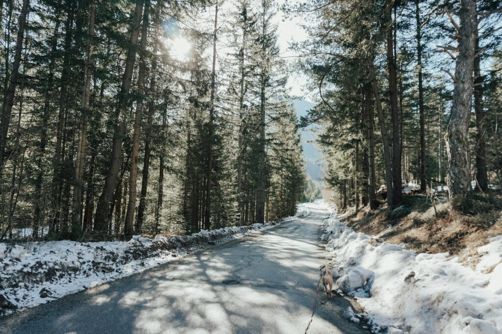 Így fedezhetjük fel Szlovénia legszebb tájait egyetlen hosszú hétvége alatt
